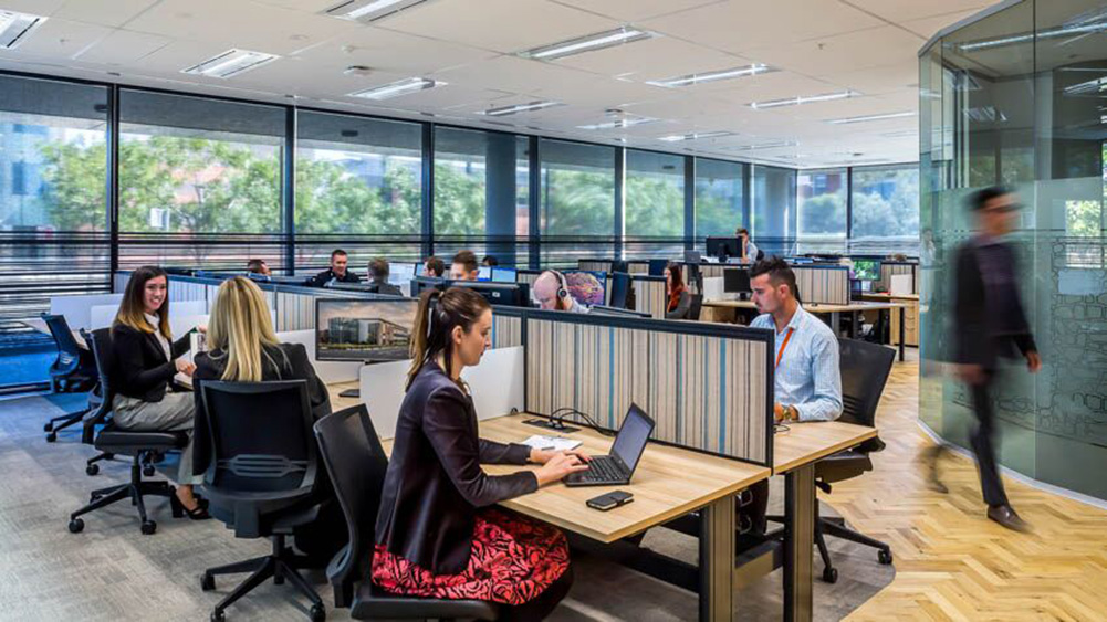 Picture of the Virtual Office 